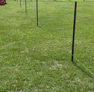 Meet your Posher, Kerry